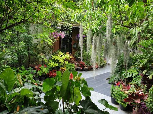 37 Nature House, Bangkok