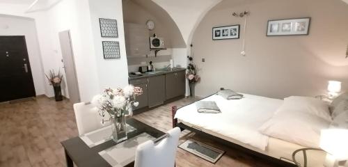 Apartment Jakubska 676 in Prag