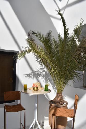Riad Olika - image 12