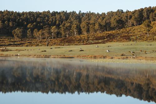 Currawong Lakes Tasmania