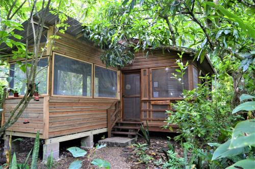 B&B San Ignacio - Iguana Roost Tourism Gold Standard Fully Equipped two Bedroom Cabin - Bed and Breakfast San Ignacio