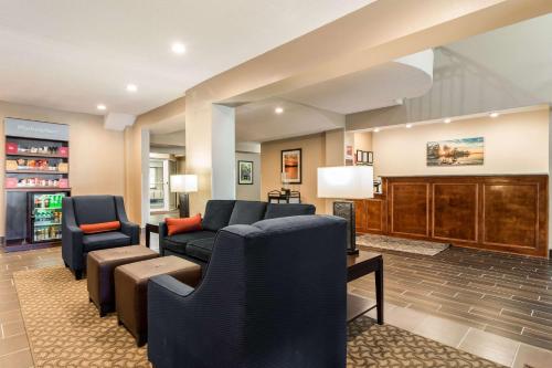 Comfort Suites - image 12