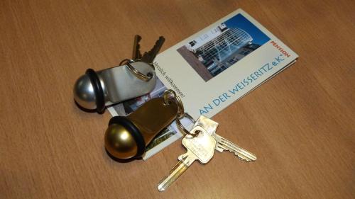 Pension an der Weisseritz - image 11