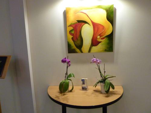 Pension an der Weisseritz - image 4