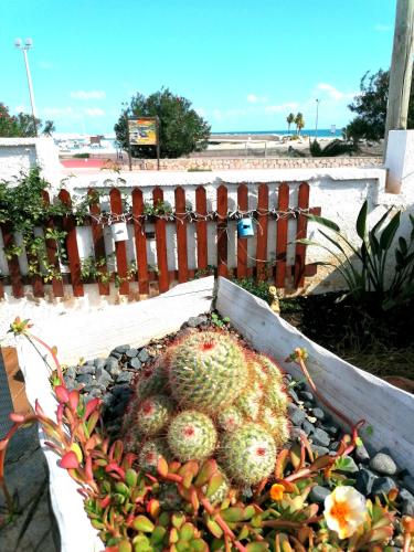 Alba Chiara B&B – San Vito Lo Capo, CA