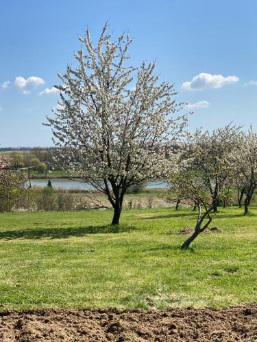 BG Apartments in Merenye