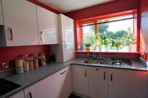 Nottingham Embankment Modern Eco House