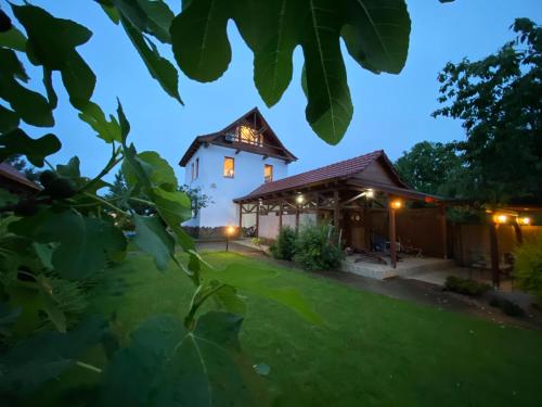 Amazing Cottage Home - Location, gîte - Cetariu