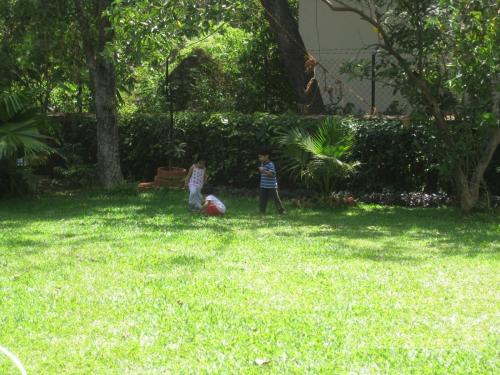 Garden, Hotel Ferreira Resort in Lonavala