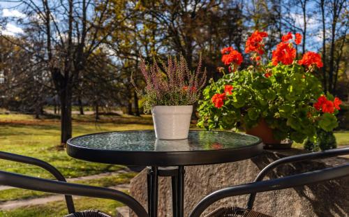 Iekārtas, Palena apartamenti in Tērvete