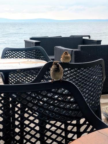  Guest House Perla in Sveti Juraj