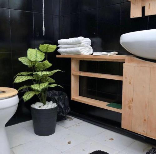 CLASSIC ONE BEDROOM APARTMENT