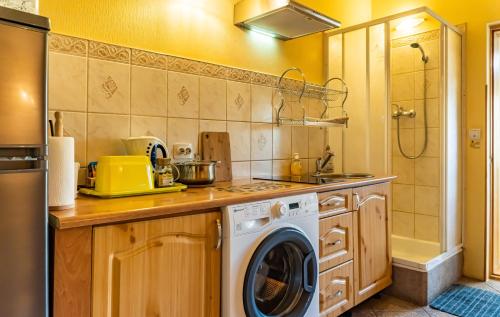 virtuve, Palena apartamenti in Tērvete