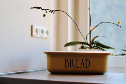 Modern APT with river view near city center&train in usti nad Labem