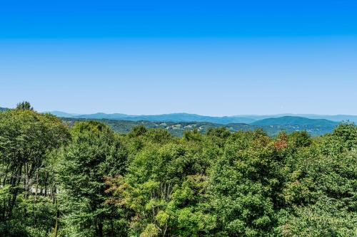 Sit Stay Play in Beech Mountain, USA