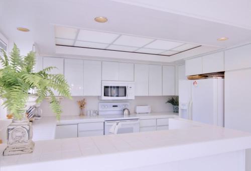 2112 Ridge - image 4