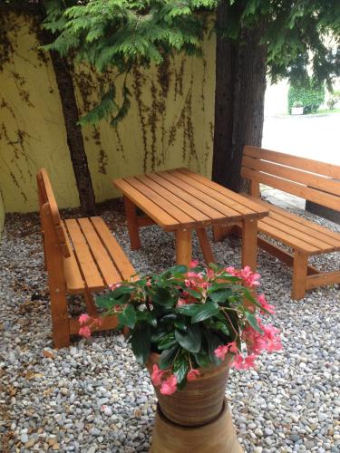 Hotel Carmen - image 5