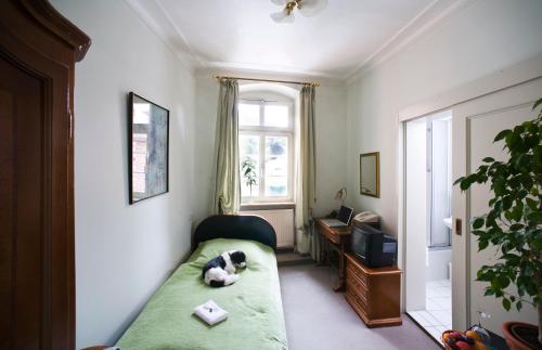 Hotel Goldener Hecht – Heidelberg, NE