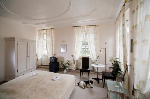 Hotel Goldener Hecht – Heidelberg, NE