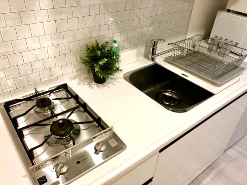 One-Bedroom Apartment image 8