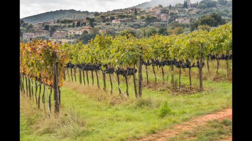 Agriturismo Podere Ficareto chambre d'hôte Radicondoli