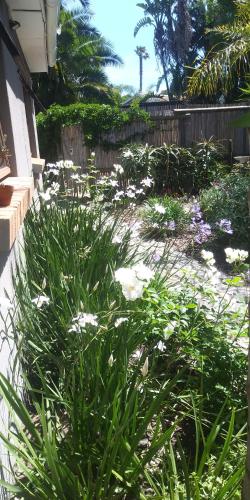 19 on Robyn, Durbanville (photo 9)