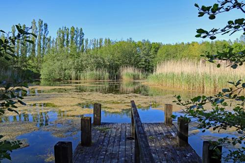 Nordic Park - image 3
