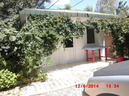  Mini Bufe Pansiyon in Sazlı