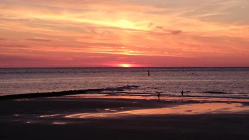 Sommerloft Norderney - image 6