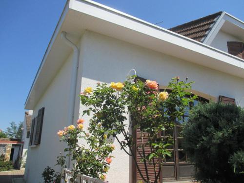 Les Roses de Rita in Boisset-les-Montrond