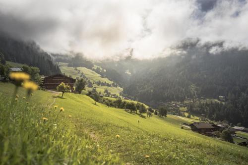 Ferienwohnung Alpbachtal - Apartment - Radfeld