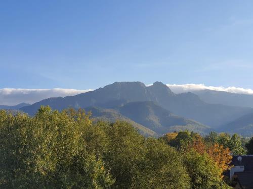 ApartHost Tatra Panorama, Zakopane (foto 9)