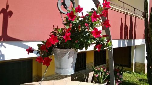 Hotel Ginevra – Poggiomarino, CO