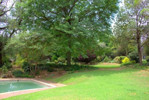 Wild Olive Executive Suite – Randburg, DC