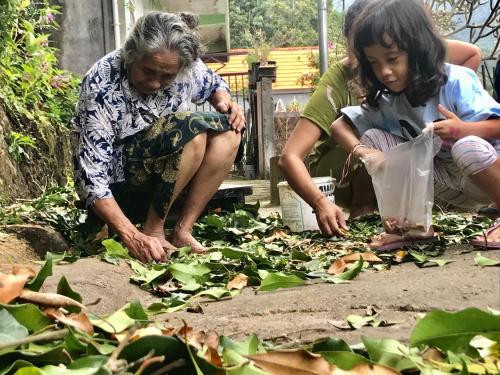 Umah De Madya & Rooftop De Madya