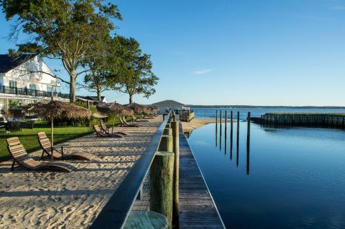 Aqua by American Beech - image 12