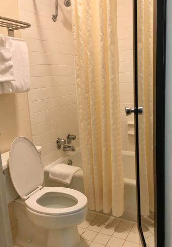 Best Western Greenville Airport Inn