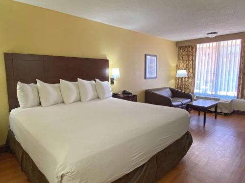 Best Western Greenville Airport Inn