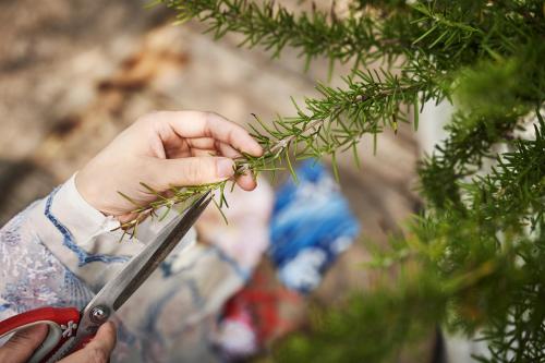 Manli Hotel Shanghai Pudong Airport Branch -Provide free shuttle buses to Pudong Airport and Disneyland