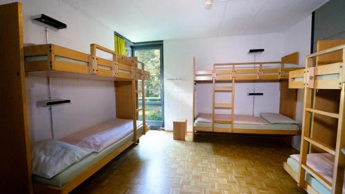 Bed in 6-Bed Dormitory Room