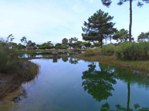 Golf, Praia, Casino, Ar Puro, Tróia (Foto 9)