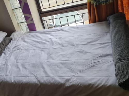 Sunset beach backpackers Room Type - Standard Single Room