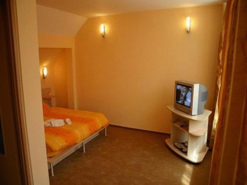 Suri Guesthouse - image 2