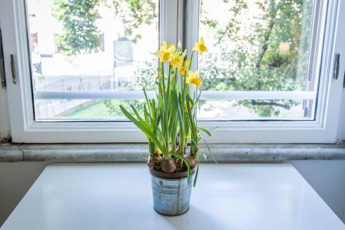 Flatinrome Termini 2 Grande appartamento luminoso in centro - main image