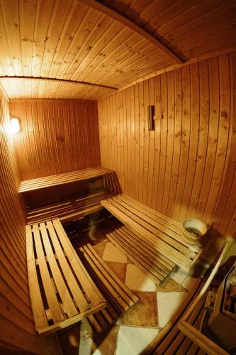 Etno hotel Balasevic Rtanj - 사우나