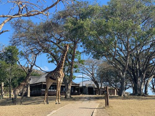 Muluwa Lodge