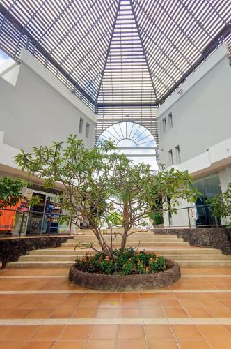 Nice studio with pool, near the beach in Los Cristianos, Tenerife Sur