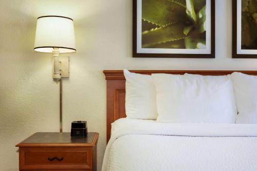 1 king bed