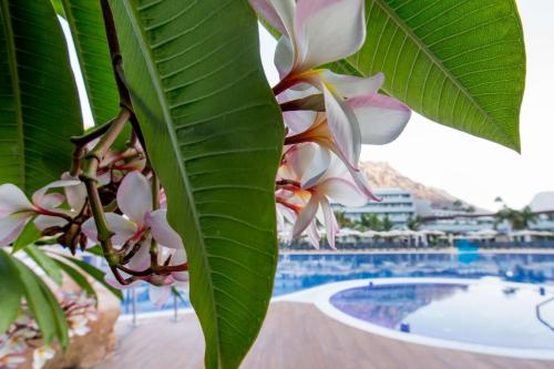 Radisson Blu Resort & Spa, Gran Canaria Mogan