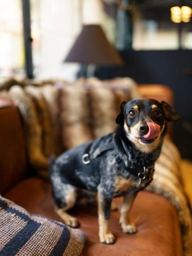 Hôtel Clarisse - image 11